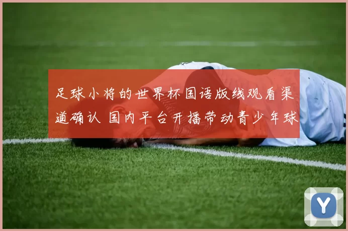 足球小将的世界杯国语版线观看渠道确认 国内平台开播带动青少年球迷回归