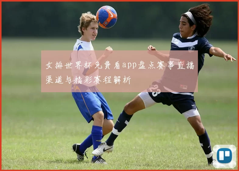 女排世界杯免费看app盘点赛事直播渠道与精彩赛程解析