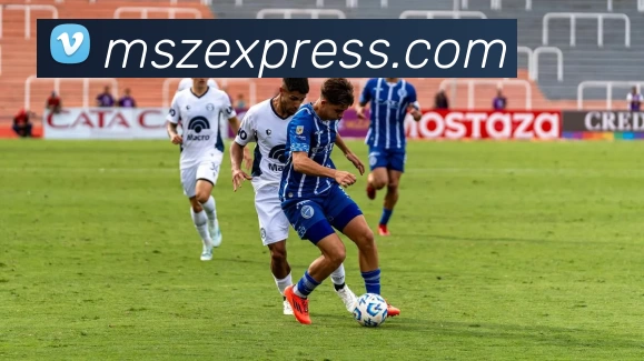 App Interface Preview